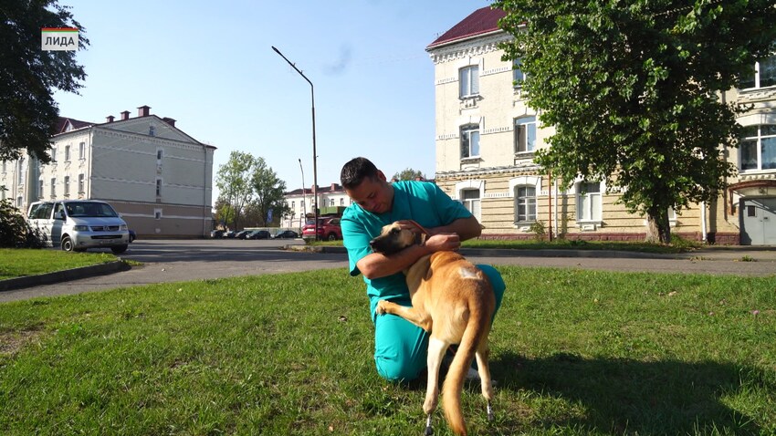 Собаке по имени Патрик установили сразу два бионических протеза