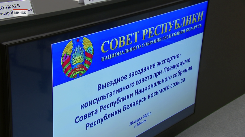 заседание экспертно-консультативного совета при Президиуме Совета Республики