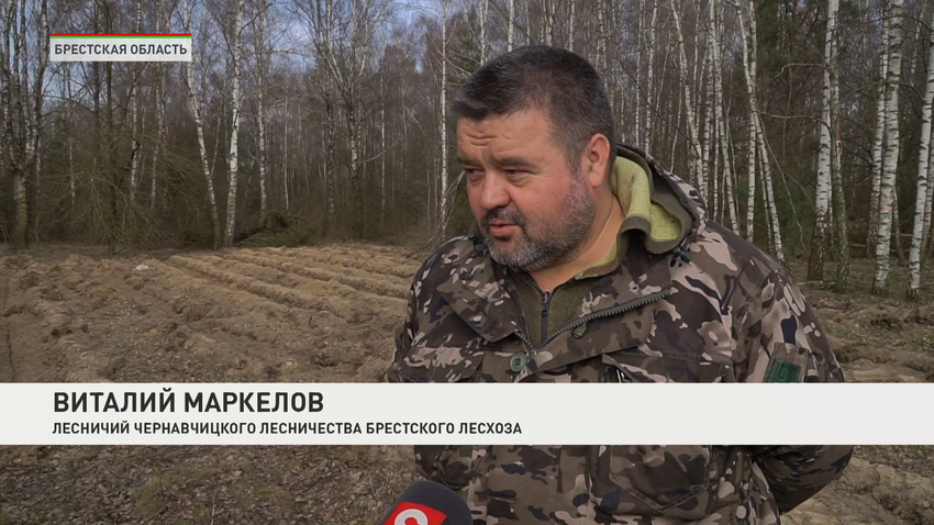 Виталий Маркелов