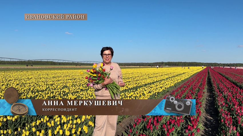 Анна Меркушевич