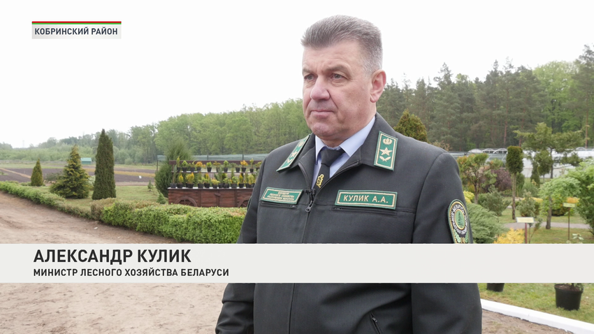 Александр Кулик