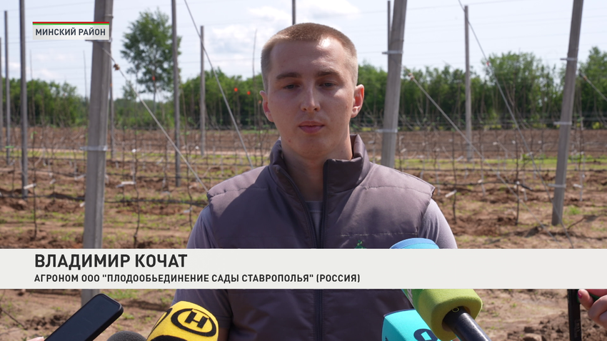 Владимир Кочат