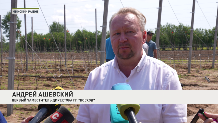 Андрей Ашевский