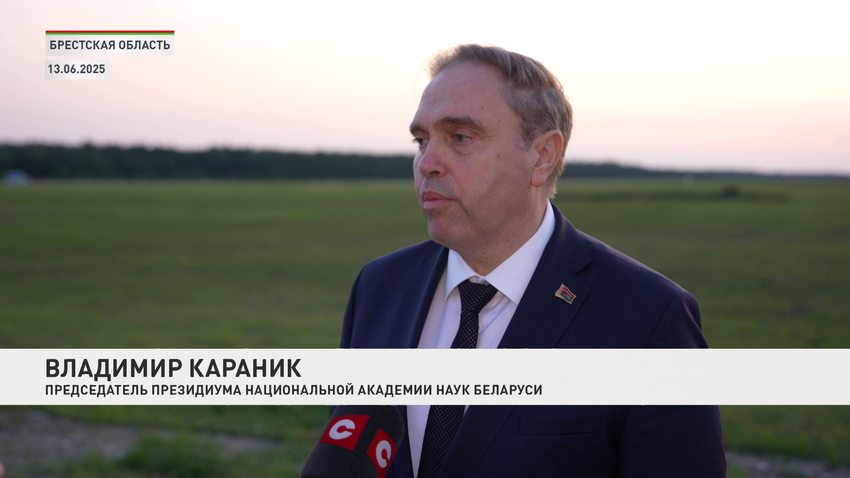 Владимир Караник