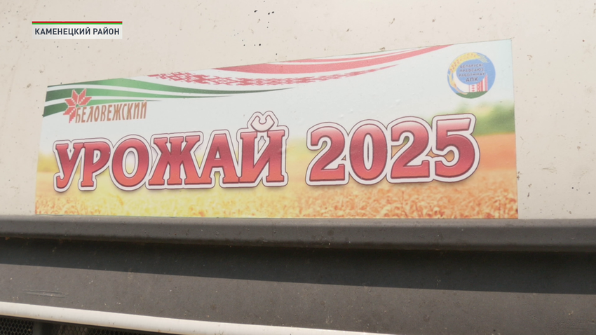 В Брестской области определили первых передовиков уборочной кампании 2025-го