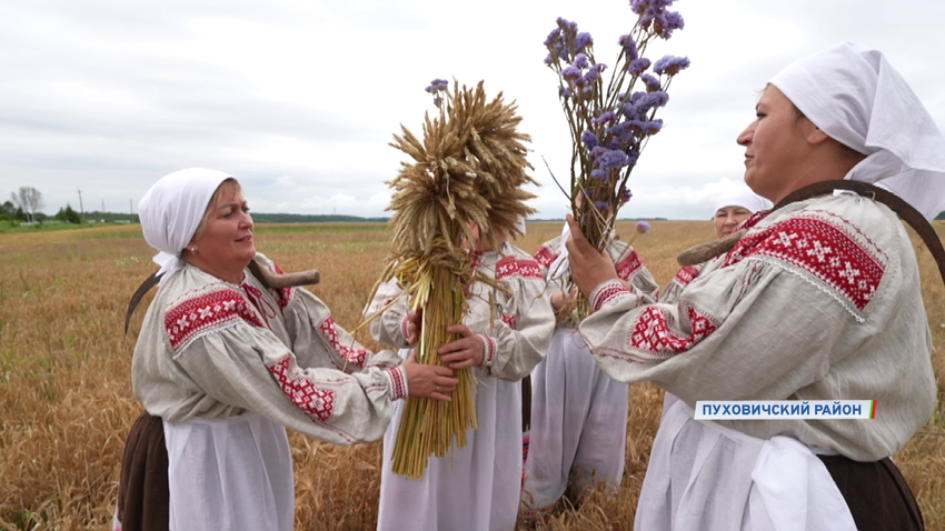 уборочная кампания