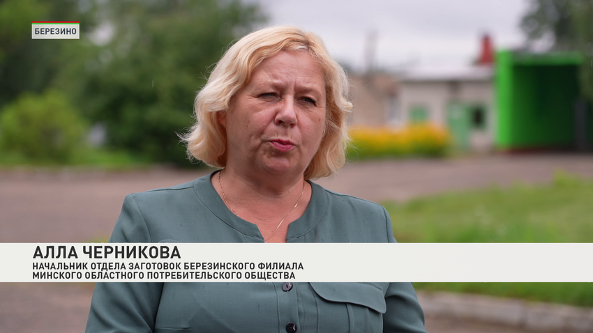 Алла Черникова