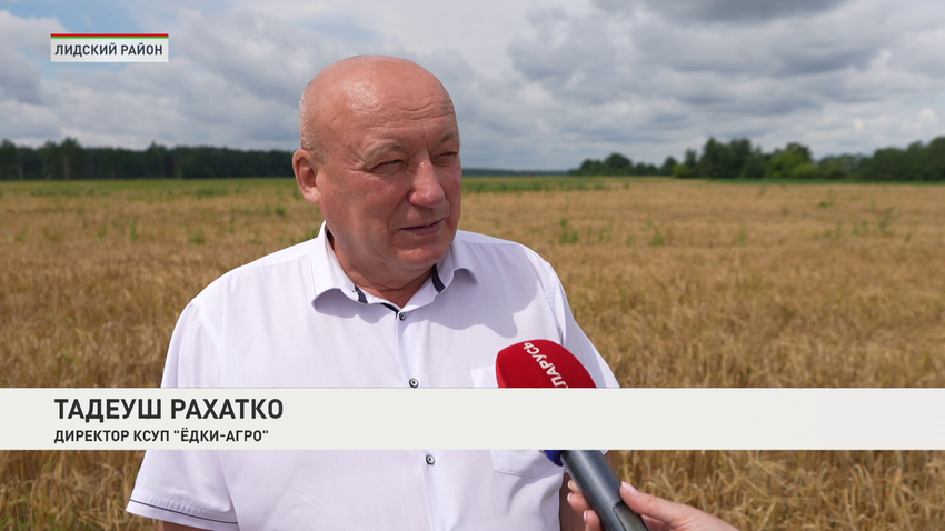 Тадеуш Рахатко