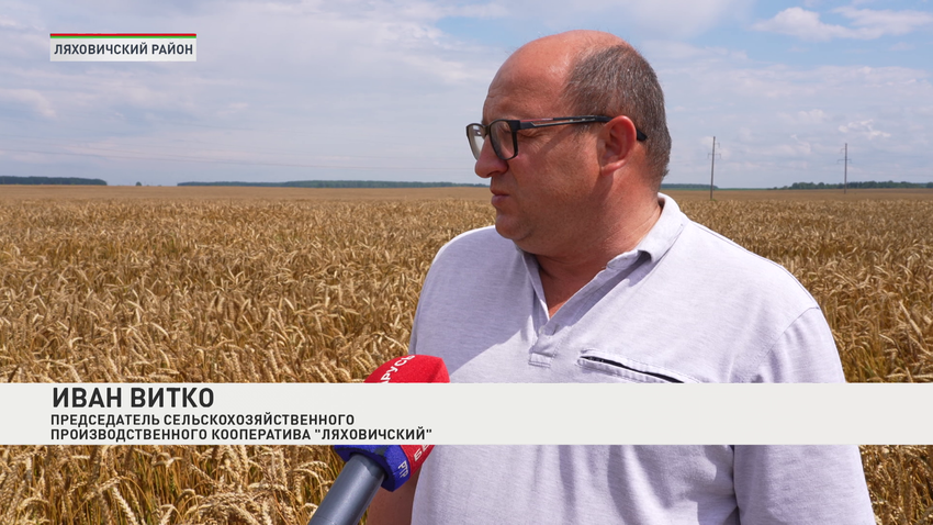 Иван Витко
