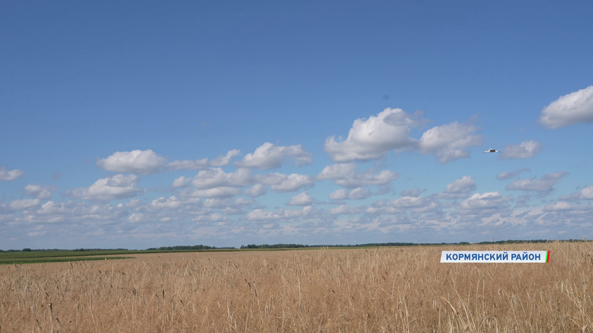 уборочная кампания