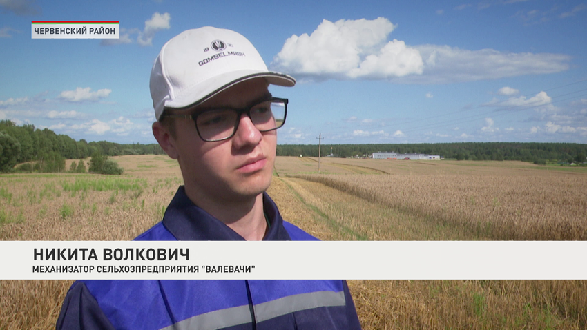 Никита Волкович