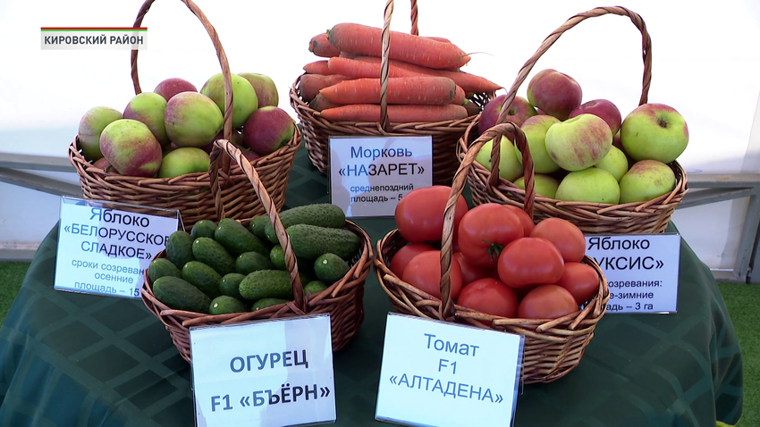 сельское хозяйство