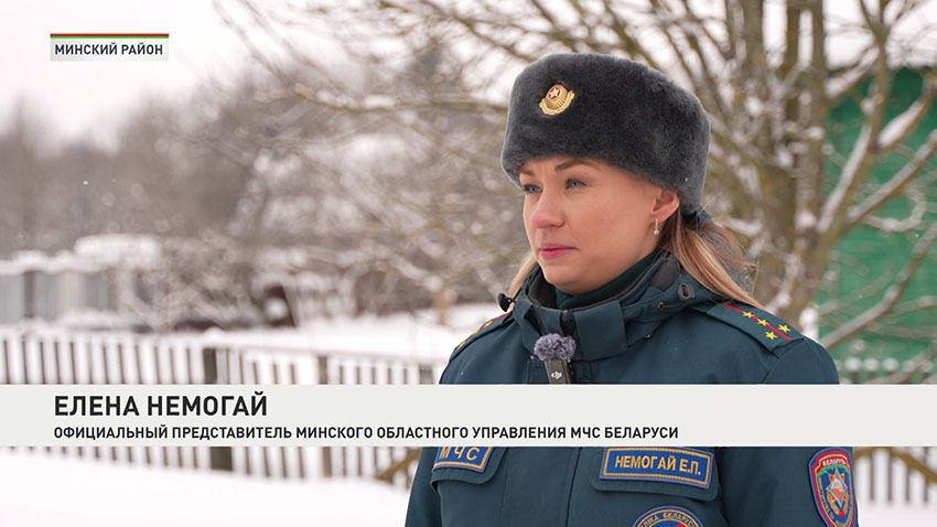 Елена Немогай