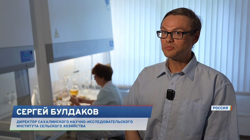 Сергей Булдаков, директор Сахалинского научно-исследовательского института сельского хозяйства