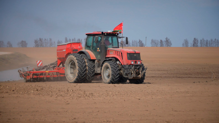 Сев ранних яровых завершили шесть районов Брестской области
