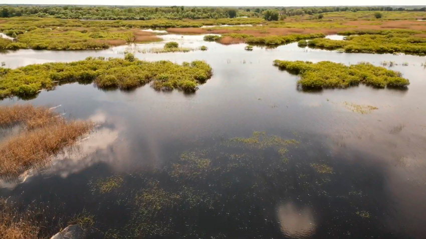 Сезон «Моря Геродота» открыт в Национальном парке «Припятский»