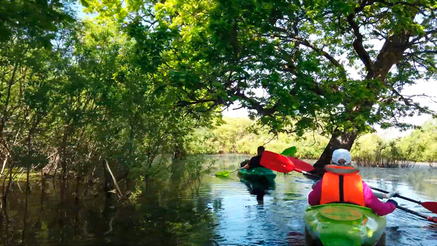 Сезон «Моря Геродота» открыт в Национальном парке «Припятский»