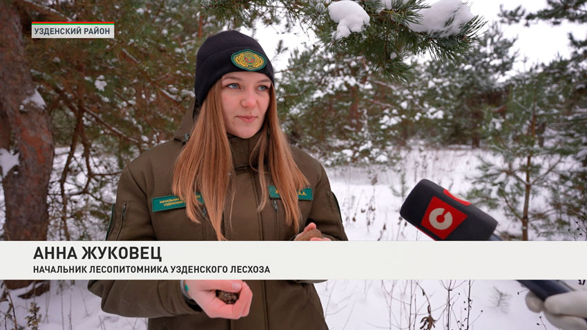 Анна Жуковец, начальник лесопитомника Узденского лесхоза