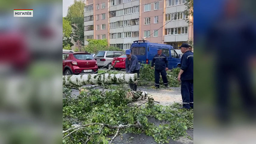 Шторм в Беларуси