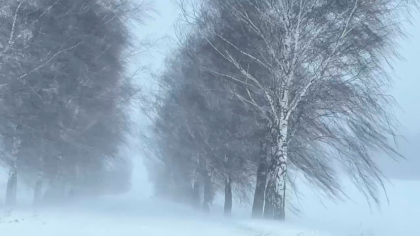 Циклон «Улли» – в разных регионах Беларуси объявлены оранжевый и красный уровни опасности
