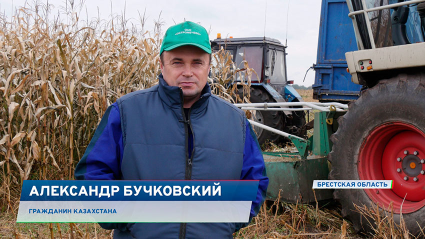 Александр Бучковский