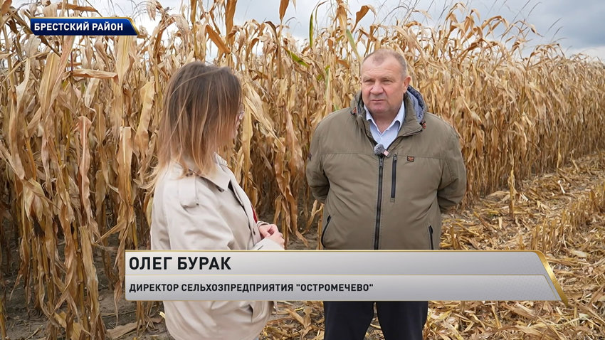 Олег Бурак, директор сельхозпредприятия «Остромечево»