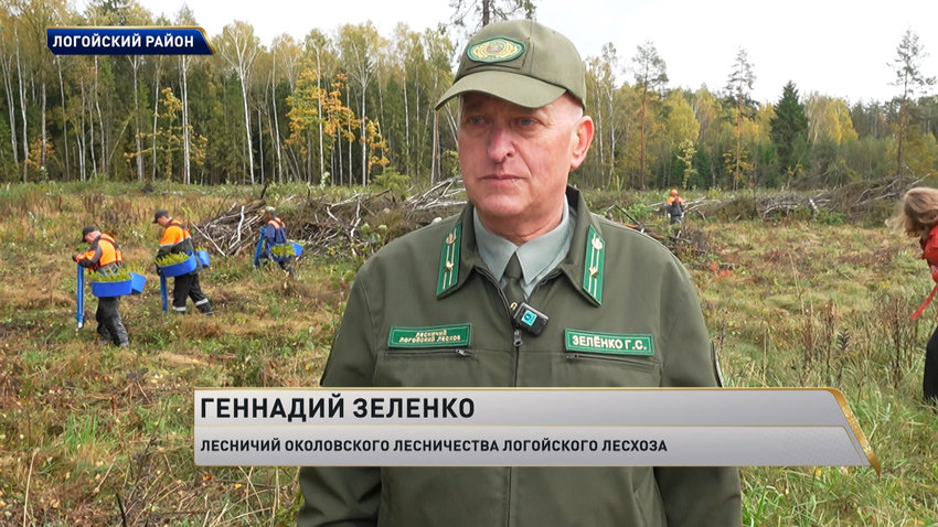 Геннадий Зеленко, лесничий Околовского лесничества Логойского лесхоза
