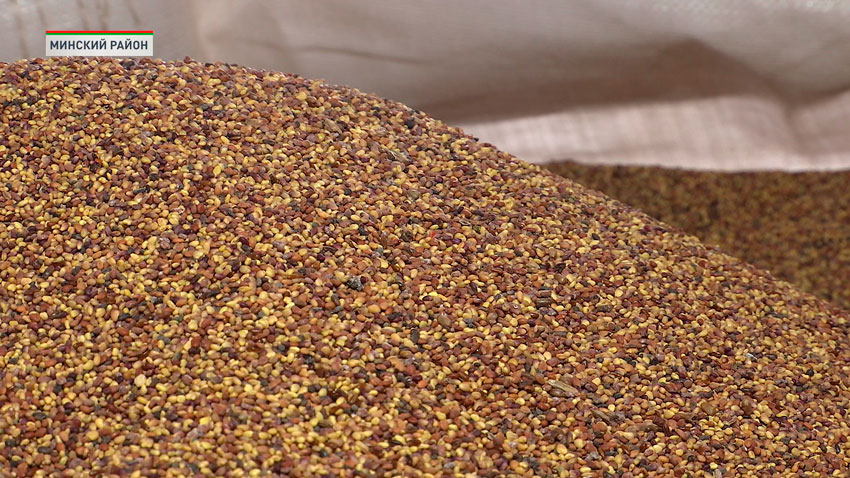 Сотрудничество Беларуси и Кубы в сфере сельского хозяйства обсудили 16 февраля в Минске