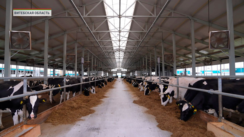 Витебская область