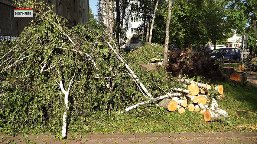 Субботник