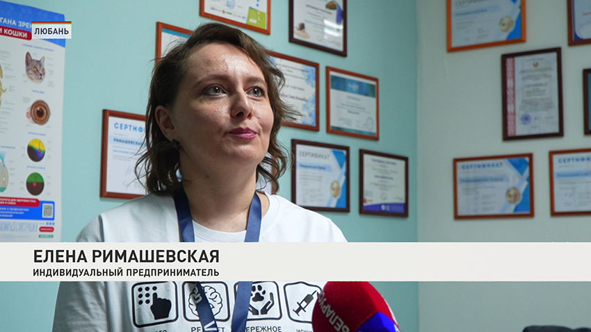 Бизнес