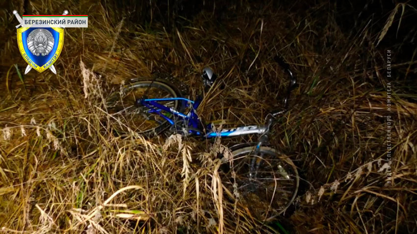 Судебные эксперты установили причину смерти потерявшегося мальчика