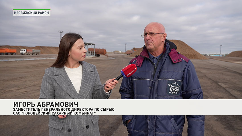 свекла
