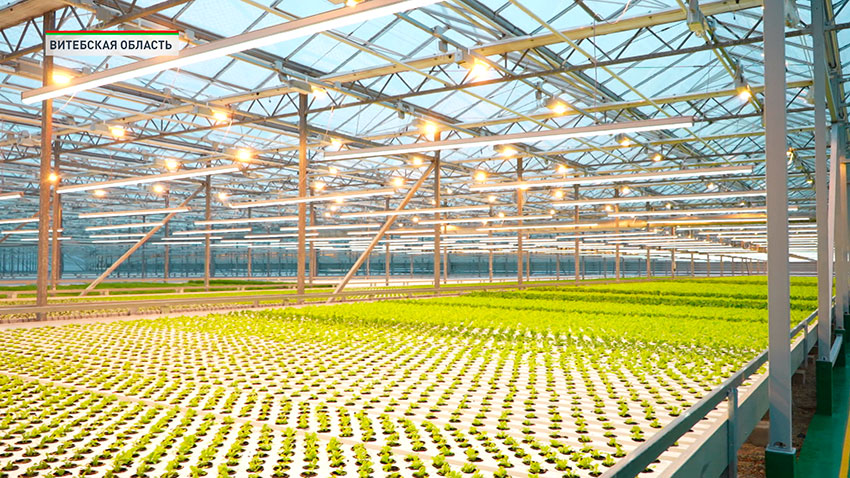 Тепличный комплекс