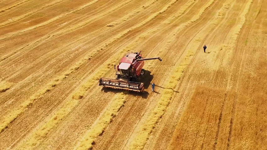 Тракторист