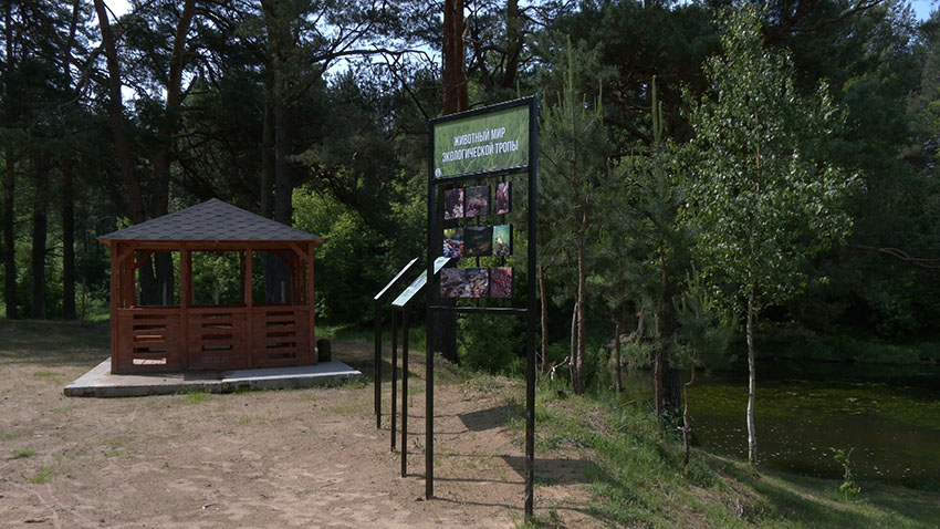 Туризм