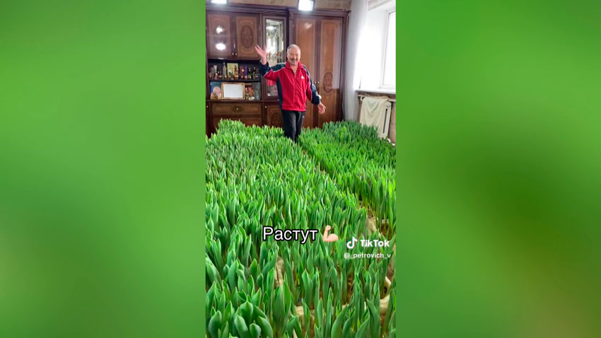 Цветы