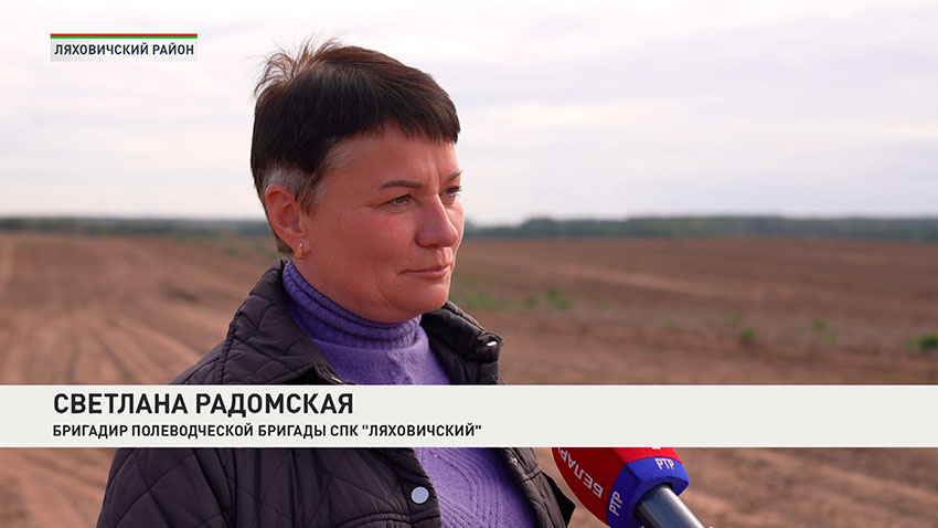 Светлана Радомская