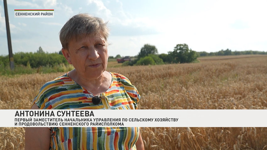 Антонина Сунтева, первый заместитель начальника управления по сельскому хозяйству и продовольствию Сенненского райисполкома