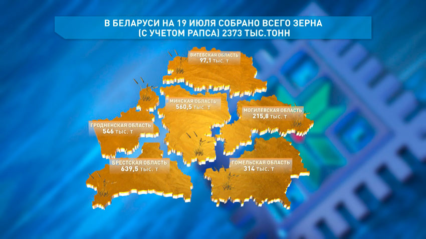 В Беларуси намолочено более 2,3 млн тонн зерна с учётом рапса