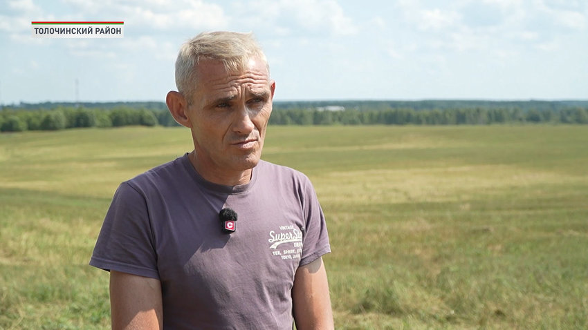 Александр Станченко, главный агроном сельхозфилиала «Надёжино» предприятия «Толочинский элеватор-агро»