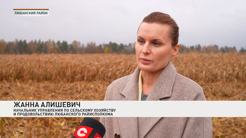 Жанна Алишевич, начальник управления по сельскому хозяйству и продовольствию Любанского райисполкома