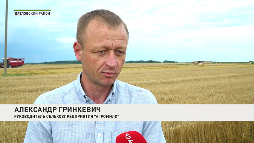 Александр Гринкевич
