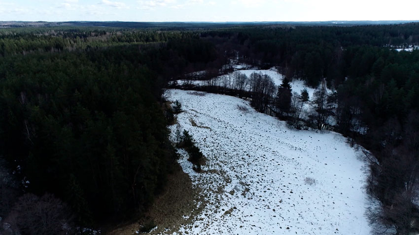 Учет леса в РБ