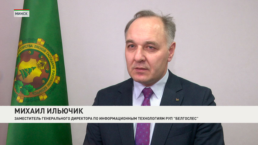 Учет леса в РБ