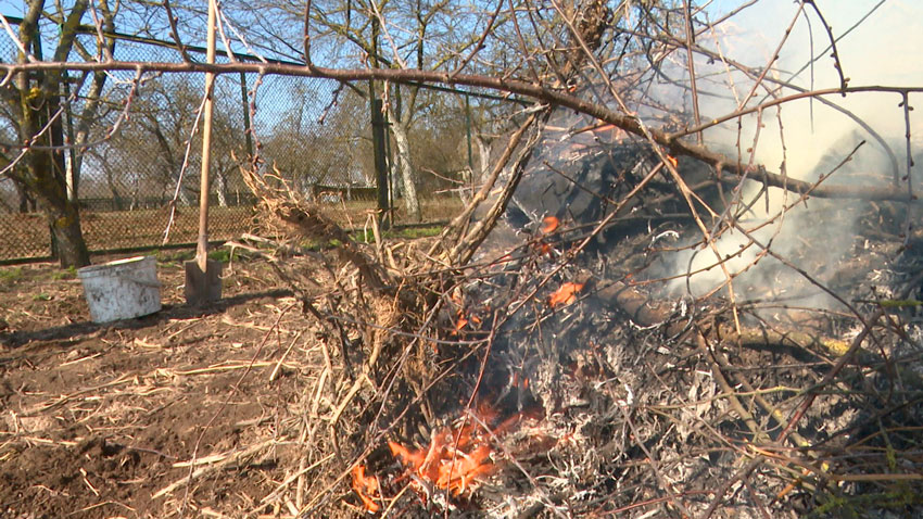 В Беларуси действует полный запрет на выжигание сухой травы