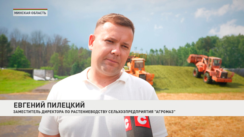 Евгений Пилецкий, заместитель директора по растениеводству сельхозпредприятия «АгроМАЗ»