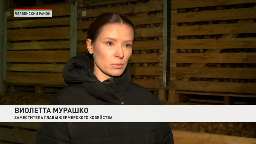 Виолетта Мурашко, заместитель главы фермерского хозяйства
