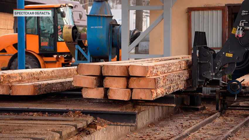 В лесхозах Беларуси реализуют 31 проект по созданию новых производств