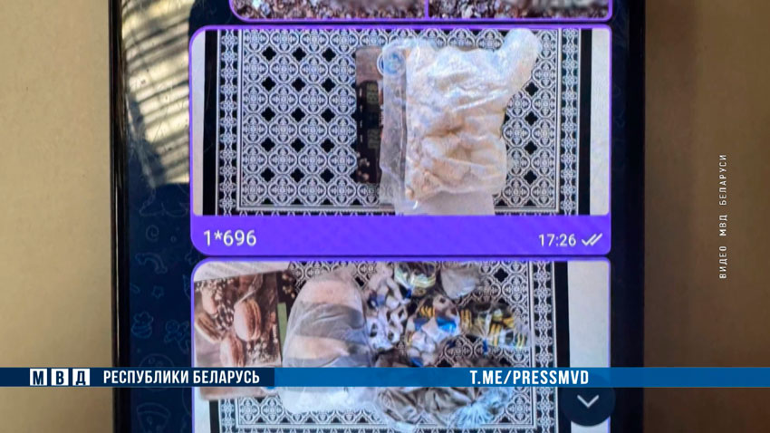 В Минске с поличным задержан закладчик-оптовик — изъяты тысячи доз наркотиков